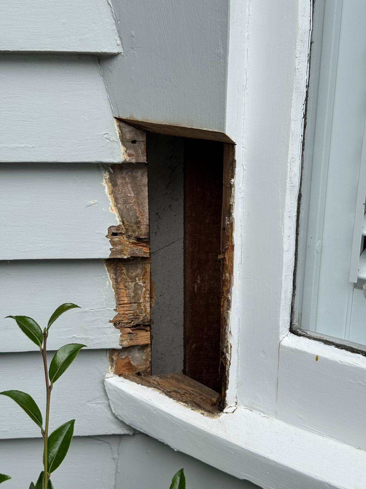 Rot & Timber Restoration