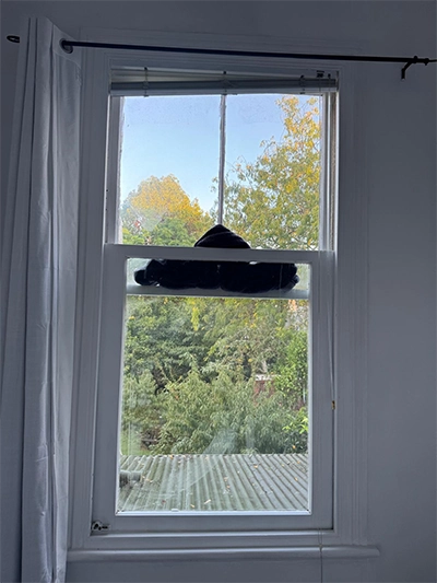 Sash Window Repair & Cord Replacement